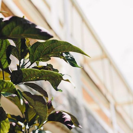 ChinanMonet Garden Coffee Farmアパートメント エクステリア 写真