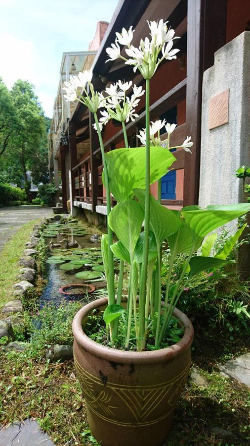 ChinanMonet Garden Coffee Farmアパートメント エクステリア 写真